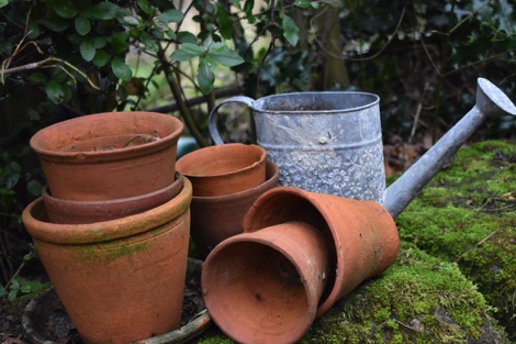 Watering can and flowerpots